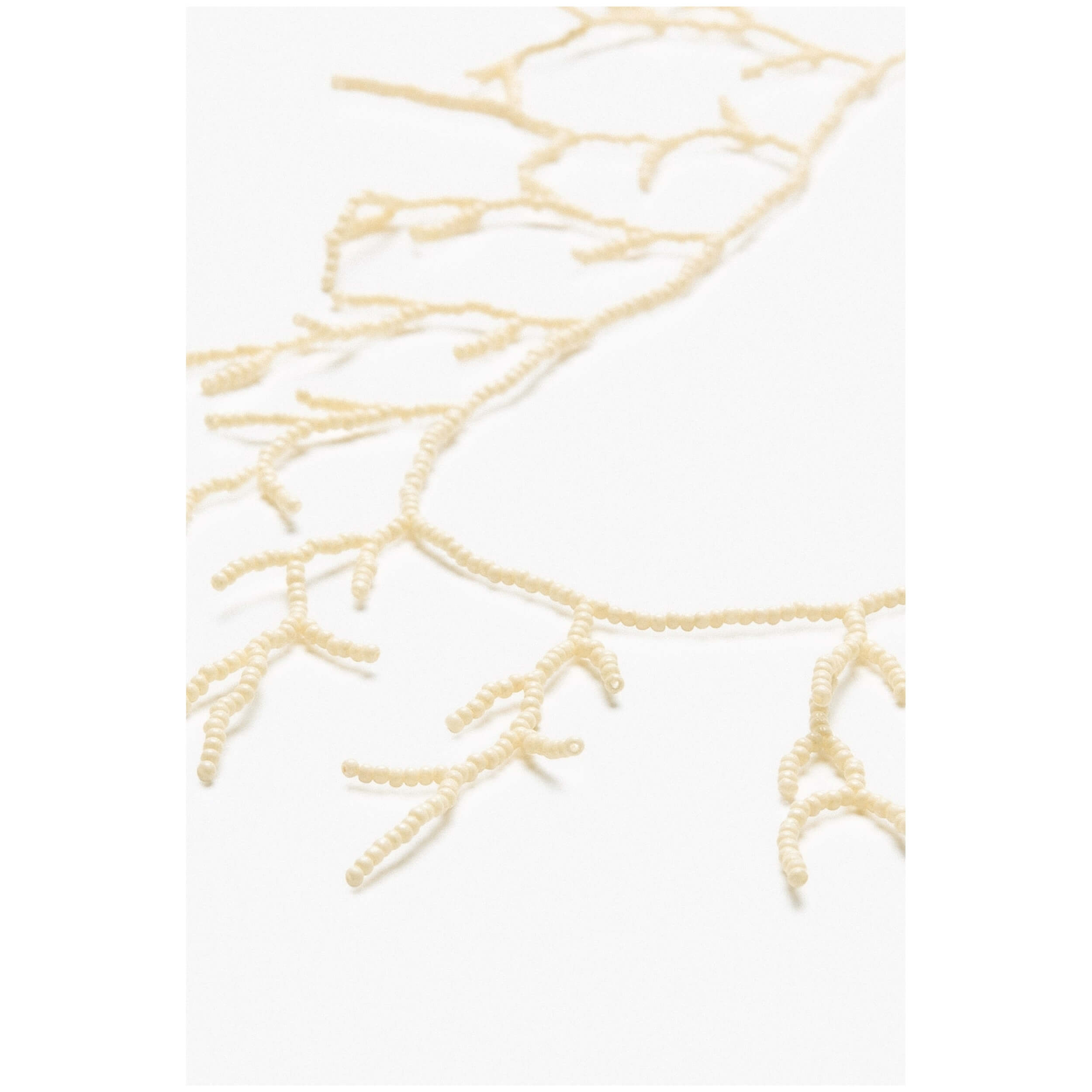Imagen del producto con referencia 300995-1215-WHITE