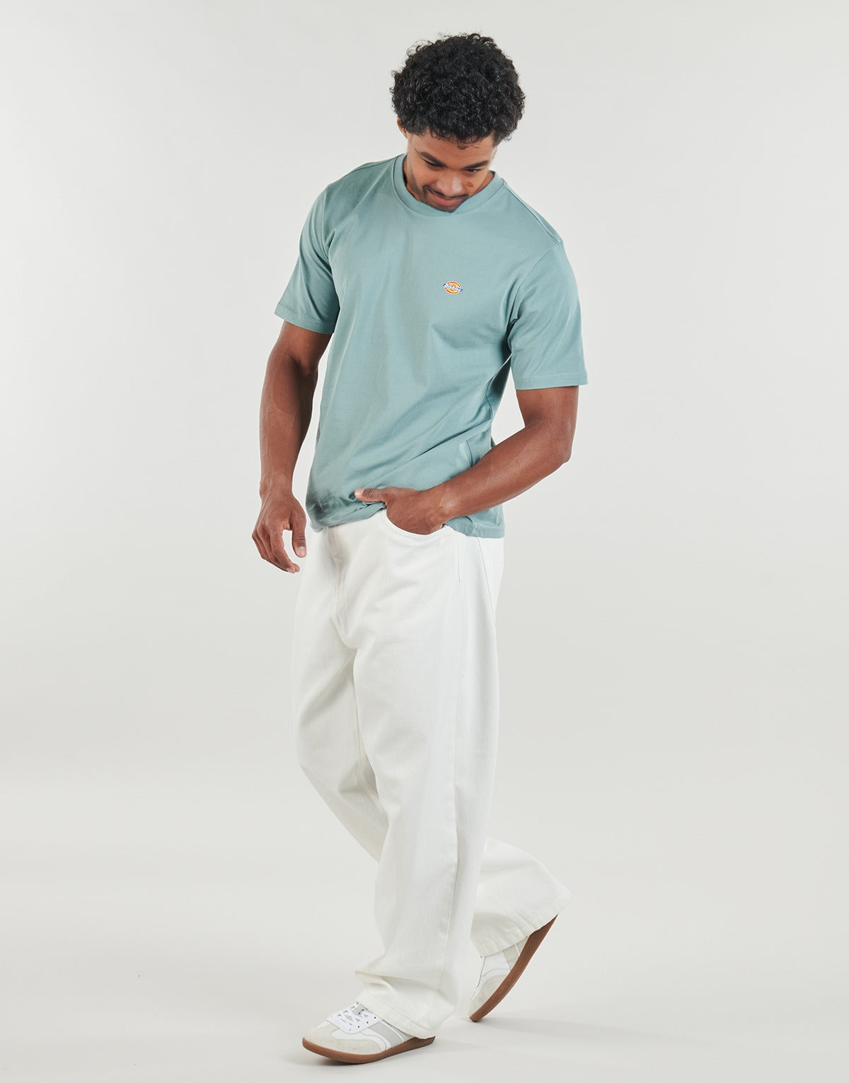 Camiseta Dickies Mapleton Tee azul para hombre