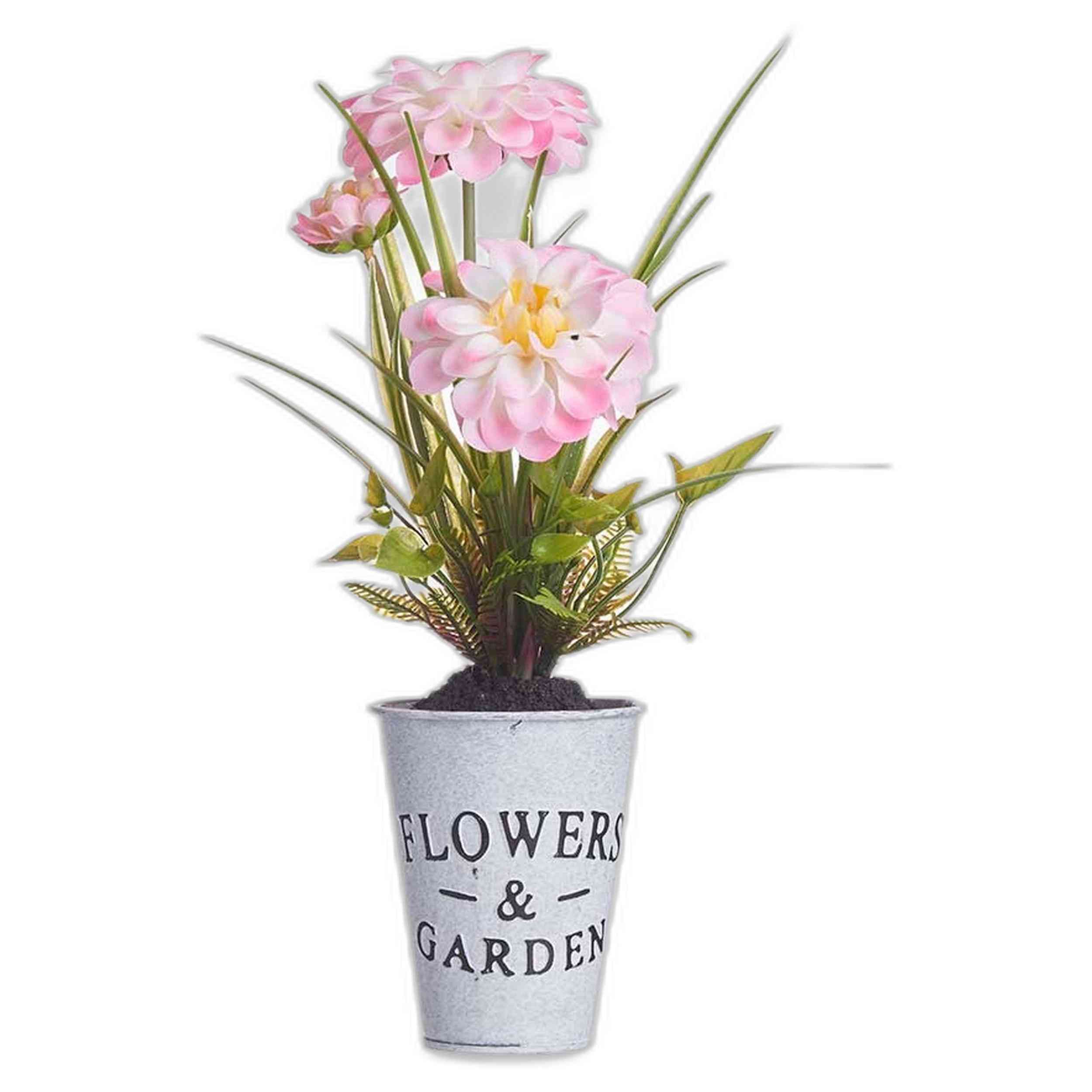 Imagen del producto con referencia 86819-WHITE