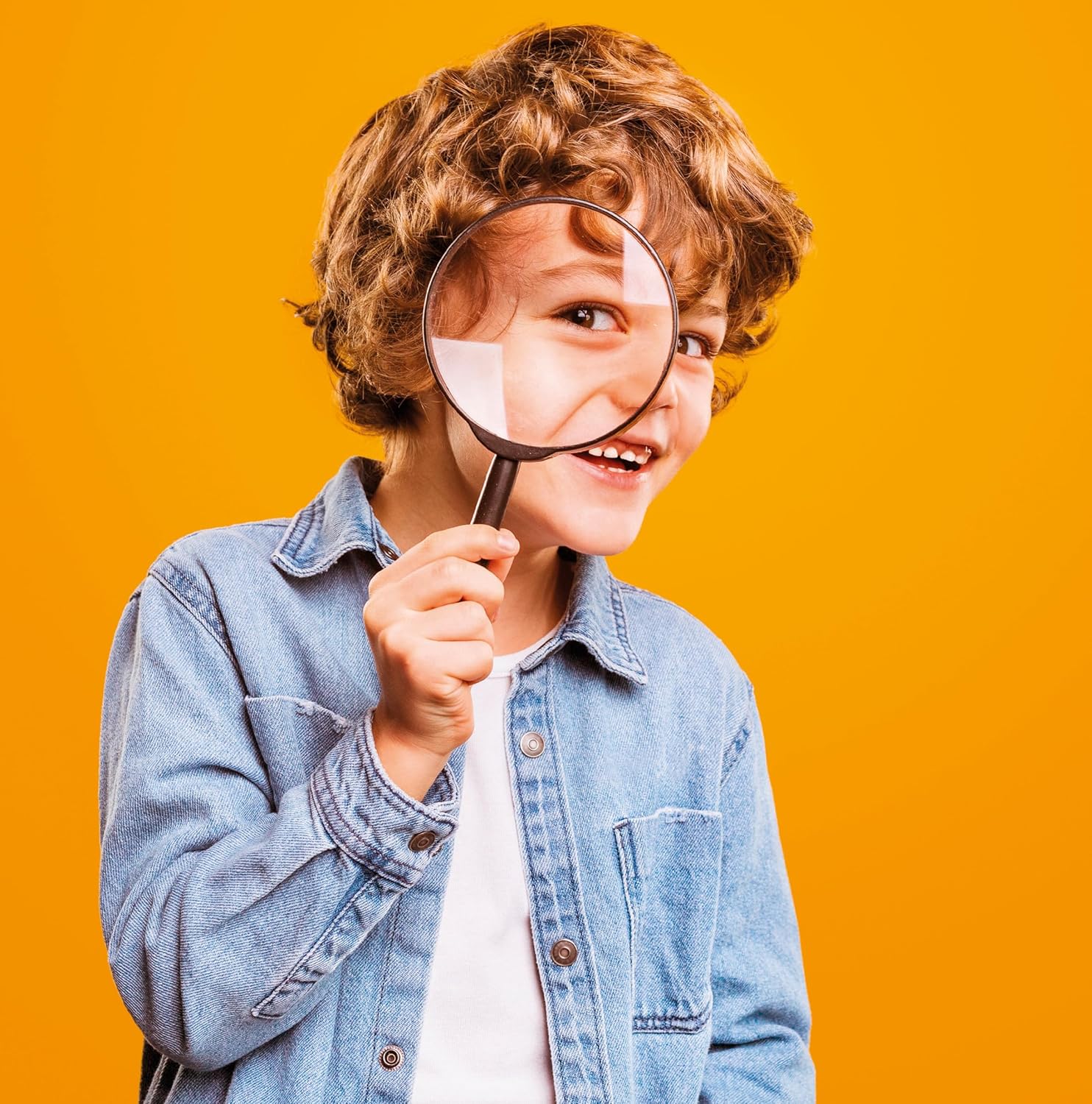 Juegos De Mesa Clementoni Ciencia Y Juego - El Mundo De Las Hormigas multicolor para niños