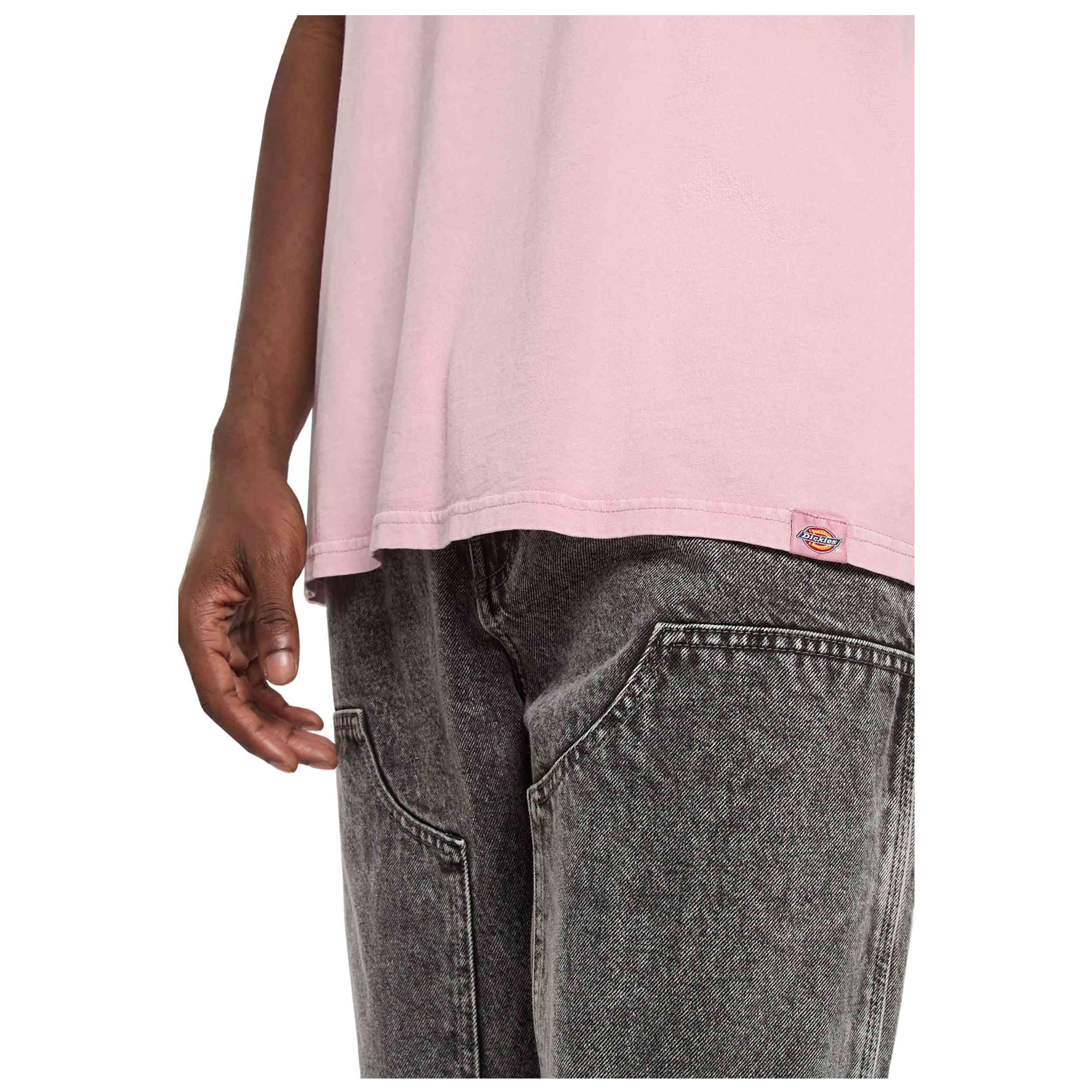 Imagen del producto con referencia DK0A866BK391-PINK