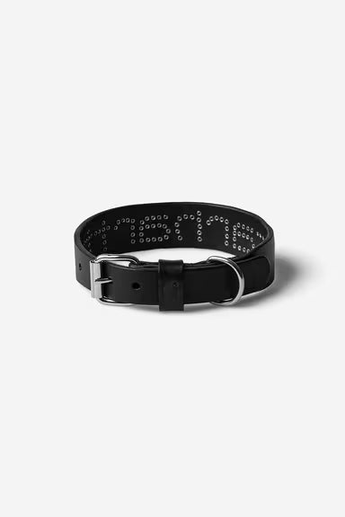 Collar Carhartt Script Studs Dog Collar negro para unisex