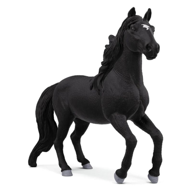 Figuras Y Minimundos Schleich Caballo Lusitano negro para unisex