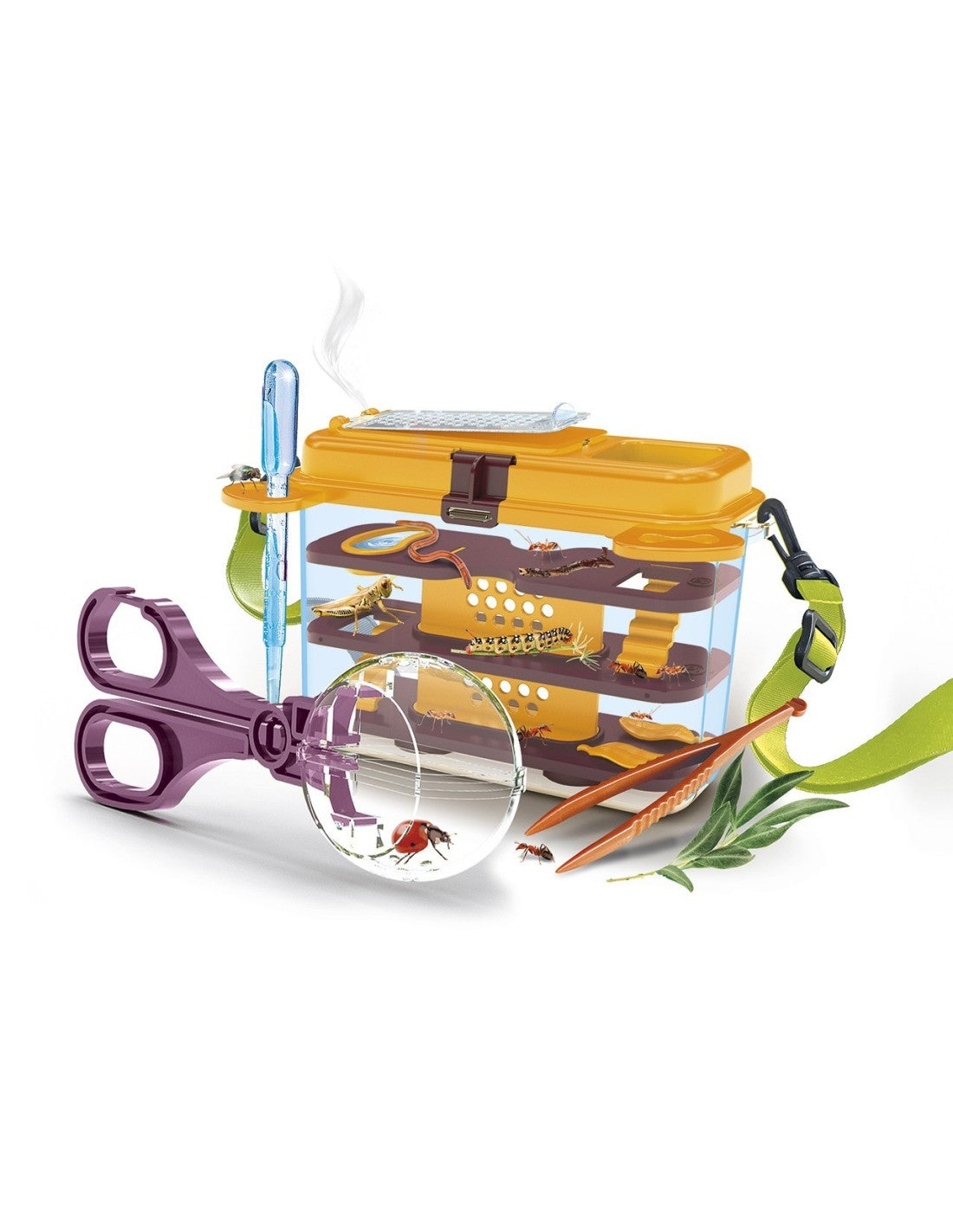 Juegos De Mesa Clementoni Ciencia Y Juego - La Casa De Los Insectos multicolor para niños