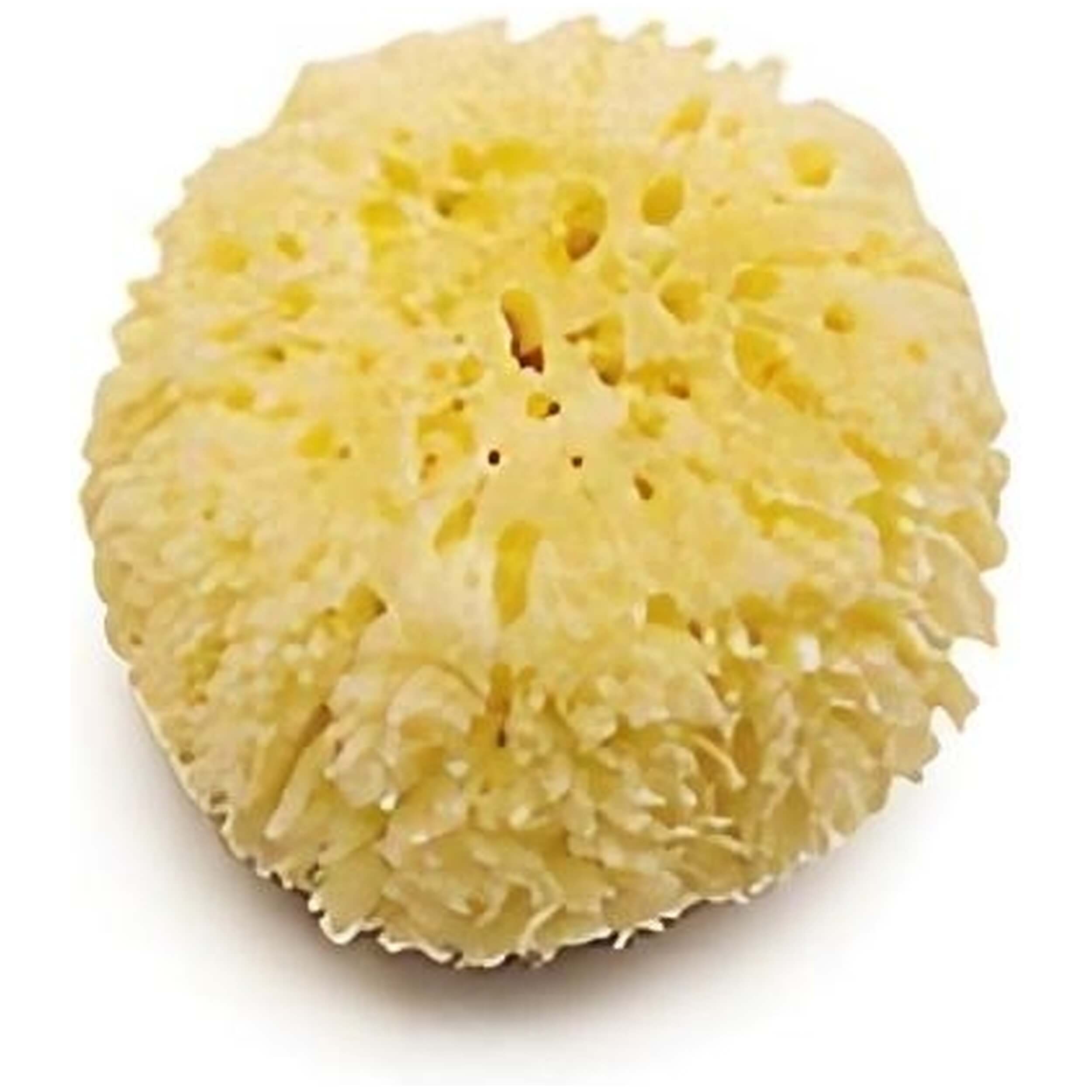 Imagen del producto con referencia 1001-NATURAL