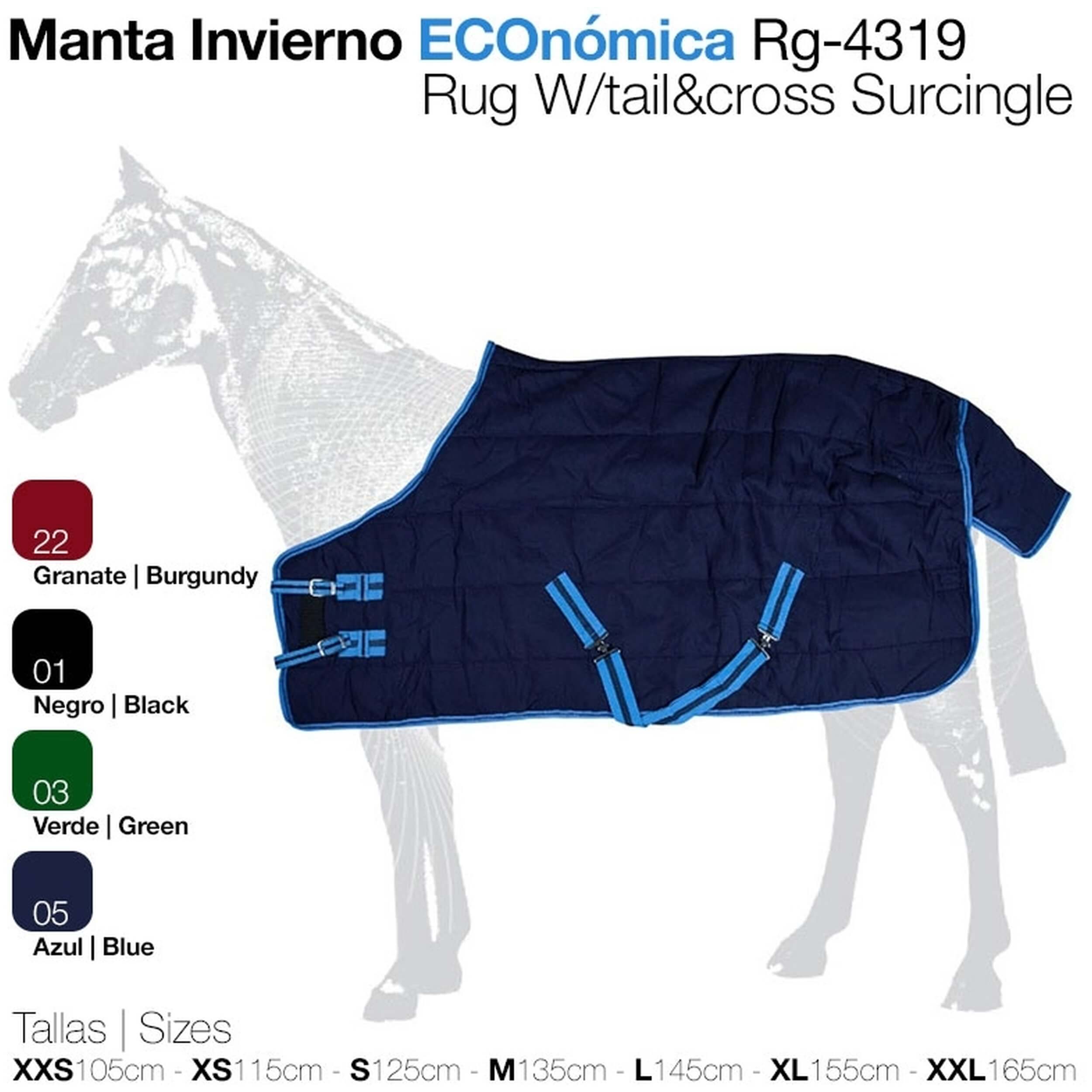 Imagen del producto con referencia 21062930305-BLUE