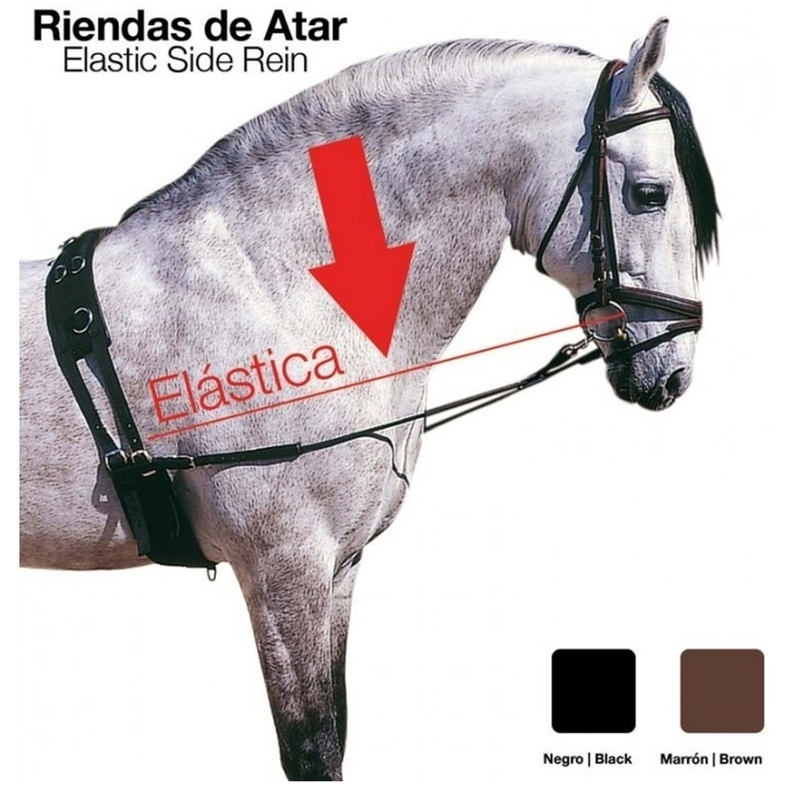 Imagen del producto con referencia 21093110001-BLACK