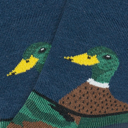 Calcetines Jimmy Lion 2272 multicolor para niños