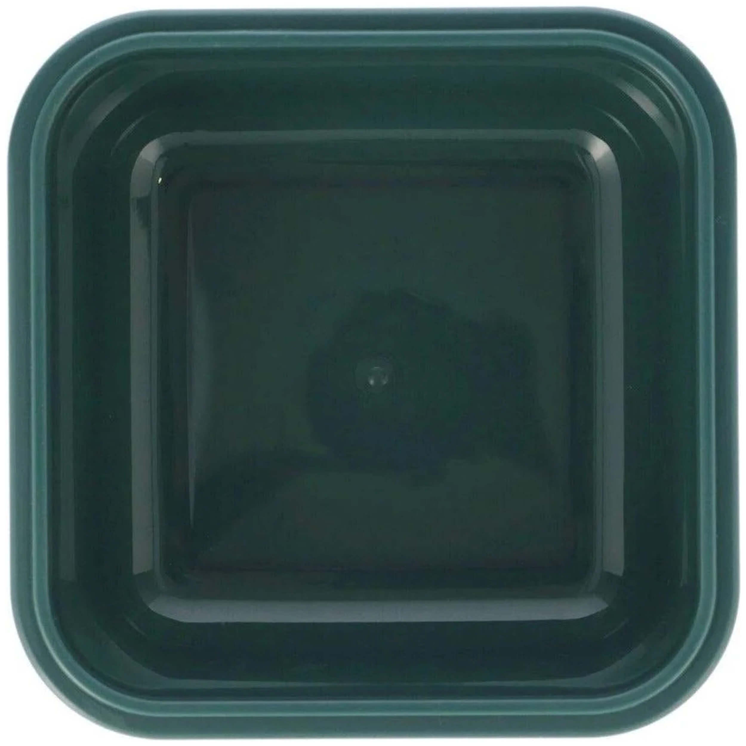 Imagen del producto con referencia 56567-VERDE
