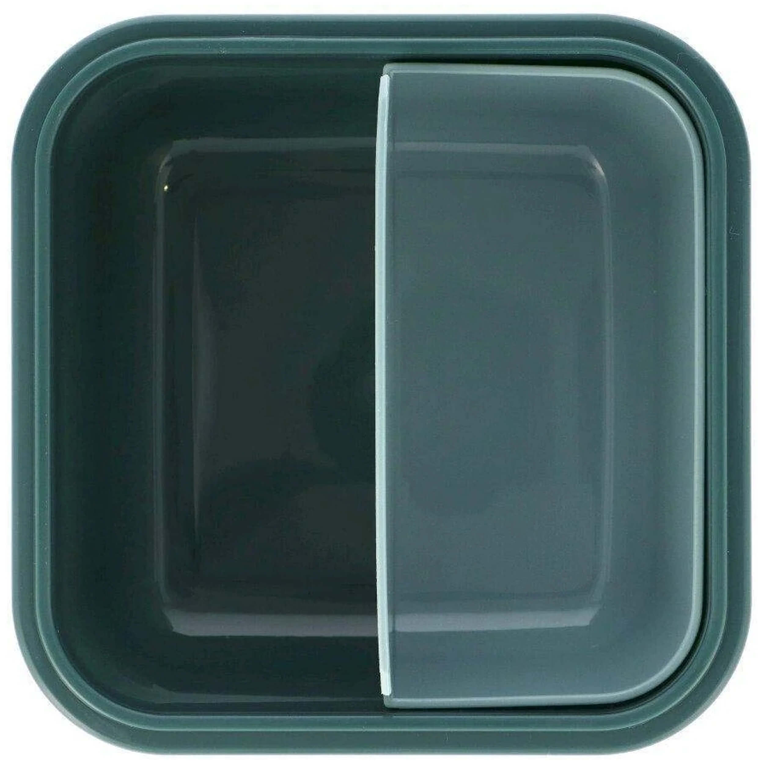 Imagen del producto con referencia 56567-VERDE