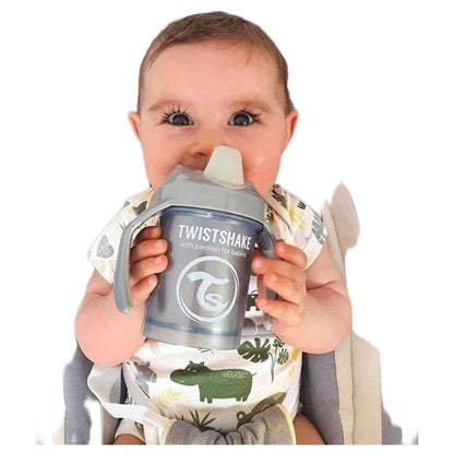 Imagen del producto con referencia 78272-GRIS