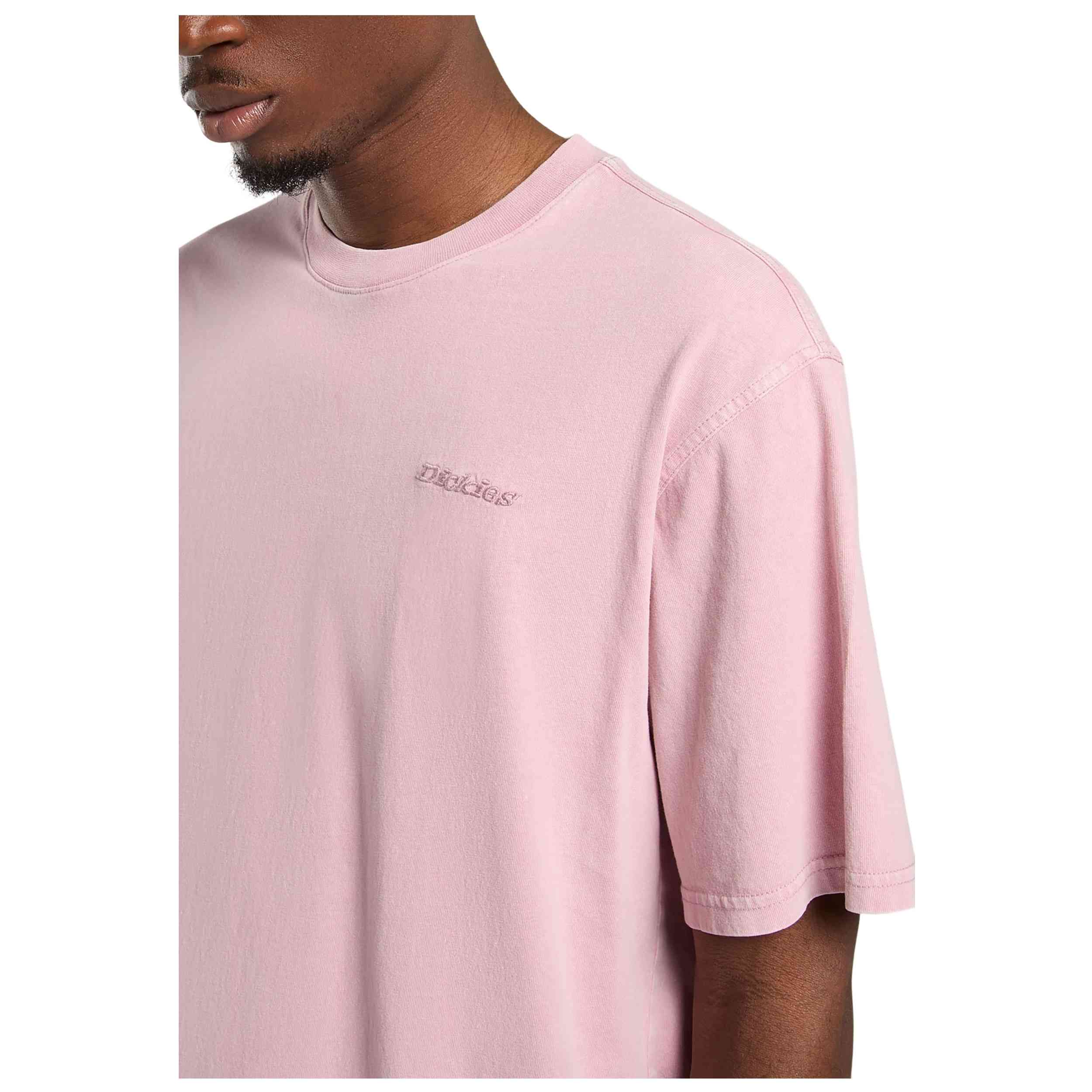 Imagen del producto con referencia DK0A866BK391-PINK