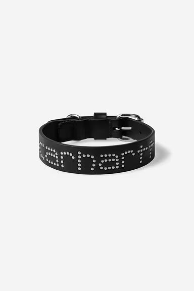 Collar Carhartt Script Studs Dog Collar negro para unisex