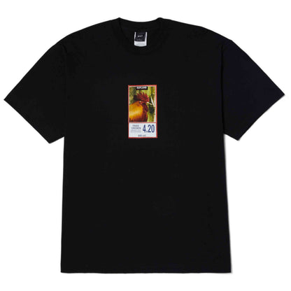 Imagen del producto con referencia TS02397-BLACK