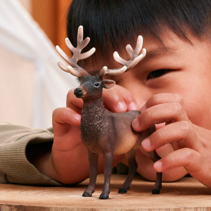 Figuras Y Minimundos Schleich Ciervo Americano Rojo multicolor para niños