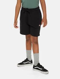 Pantalones Cortos Dickies Dk0Krr33Kbk1-Blk multicolor para niños