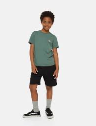 Pantalones Cortos Dickies Dk0Krr33Kbk1-Blk multicolor para niños
