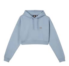 Sudaderas Dickies Dk0A4Xjtc99 multicolor para mujer